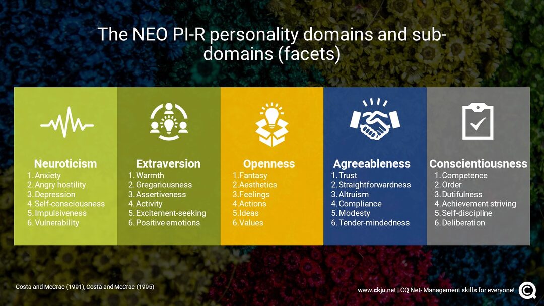 Big 5 personality model and NEO facets